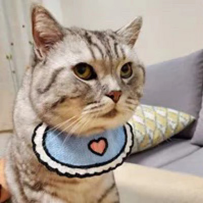 Mazs kaķis, suns aksesuāri kucēns, mazulis Dzīvnieks priekšautiņi Šalle Kakla lakatiņš Jauki regulējami mājdzīvnieku bantiņi Kaklarota Kakla siksna Kopšanas preces