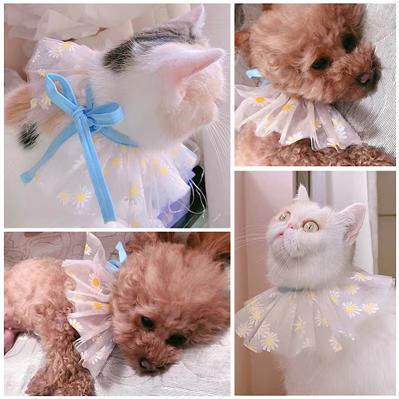 Mazs kaķis, suns aksesuāri kucēns, mazulis Dzīvnieks priekšautiņi Šalle Kakla lakatiņš Jauki regulējami mājdzīvnieku bantiņi Kaklarota Kakla siksna Kopšanas preces