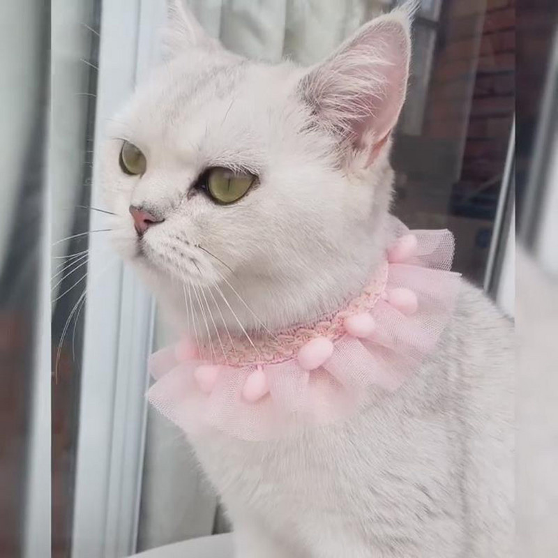 Jauka mežģīņu mājdzīvnieku šalle kaķiem Maza kucēna suņa kaķa dzimšanas dienas tērps kaķa bandana kaklarota Apģērbs Apburoši mājdzīvnieku kostīmi kaķēnam