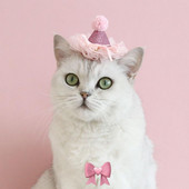 Skaista mājdzīvnieku galvassega, pret alerģijām, mežģīņu apdare, nodilumizturīga mājdzīvnieku kaķu cepure Kāzu fotografēšana dekorācija mājdzīvnieku galvassegas kleita