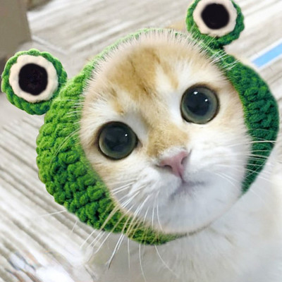 Mājdzīvnieka cepure Delikāts apmales kulonu dekors ar augstu elastību Jauka mājdzīvnieka regulējama siksniņa trikotāžas cepure ballīšu suņu galvassegai