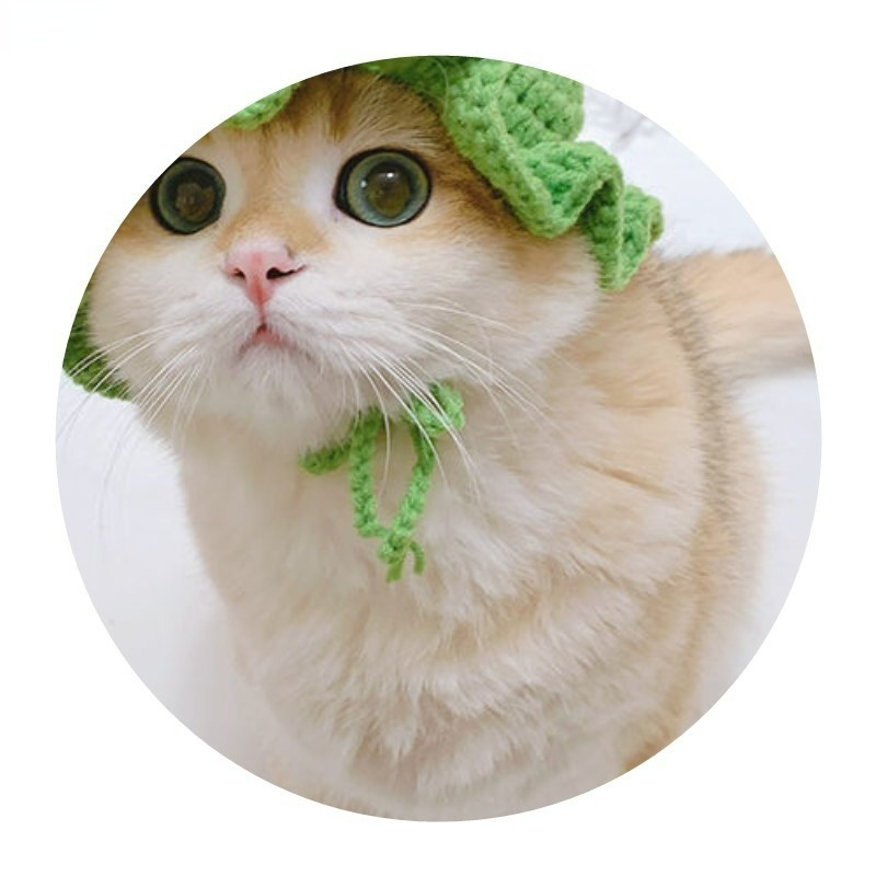 Mājdzīvnieka cepure Delikāts apmales kulonu dekors ar augstu elastību Jauka mājdzīvnieka regulējama siksniņa trikotāžas cepure ballīšu suņu galvassegai