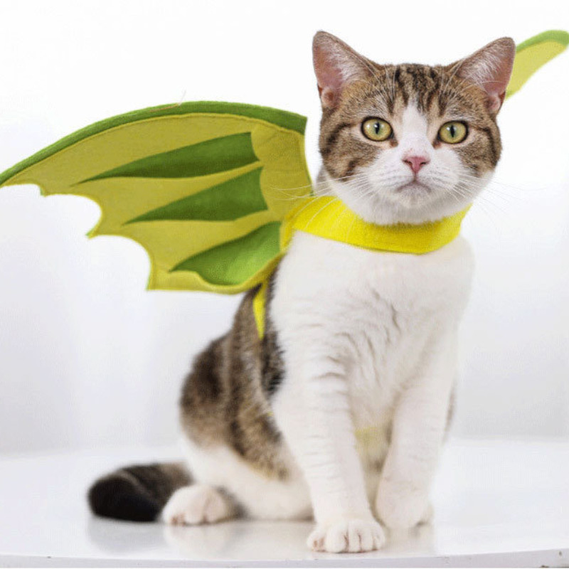 Kaķa kospleja veste dinozaura spārni Halovīni Ziemassvētku pārvērtības saģērbt kaķēnu rotājumu mājdzīvnieku aksesuāri
