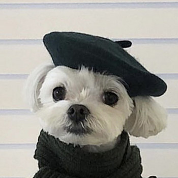 Ins Μονόχρωμο καπέλο για κατοικίδια Ζωγράφος μάλλινο καπέλο μπερέ σκύλου Μίνι διακοσμητικό φωτογραφικό καπέλα Μνημείο για κατοικίδια Χριστουγεννιάτικο καπέλο σχεδιαστή πολυτελείας