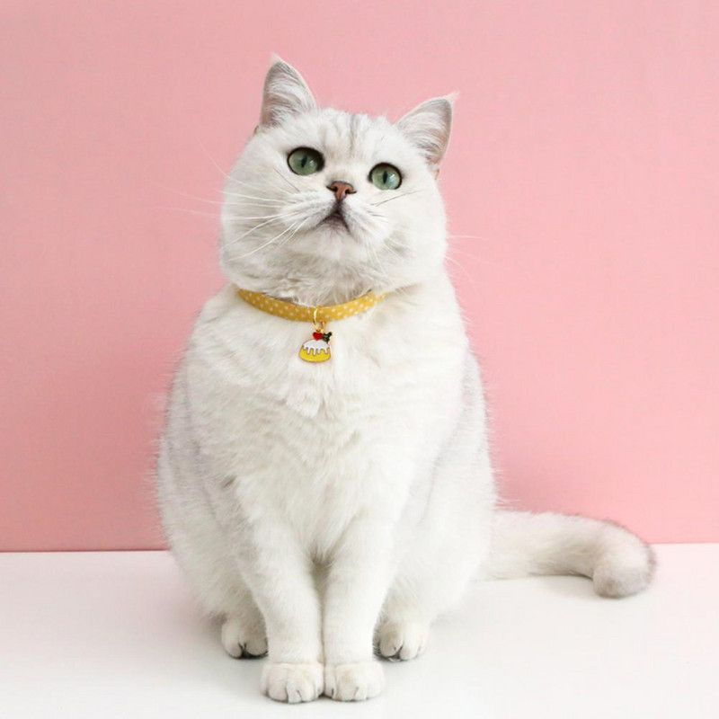 Lemmiklooma kaelakee kaelarihm Kassi pilkupüüdev kulumiskindel puuvillane peen kõigi aastaaegade sisekujundus välitingimustes