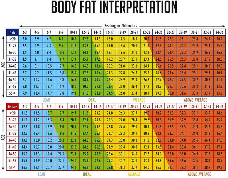 Digitālā LCD displeja tauku suporta skava Ķermeņa tauku mērīšanas testēšanas suports sebuma mērītājs svara zaudēšanas tests tauku biezuma suports