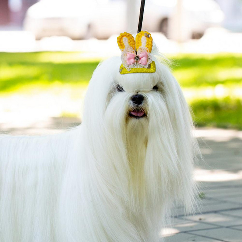 Parādīt unikālu šarmu, pievilcīgas Cosplay mājdzīvnieku stieņus ar mākslīgā kristāla lolojumdzīvnieku izstrādājumu