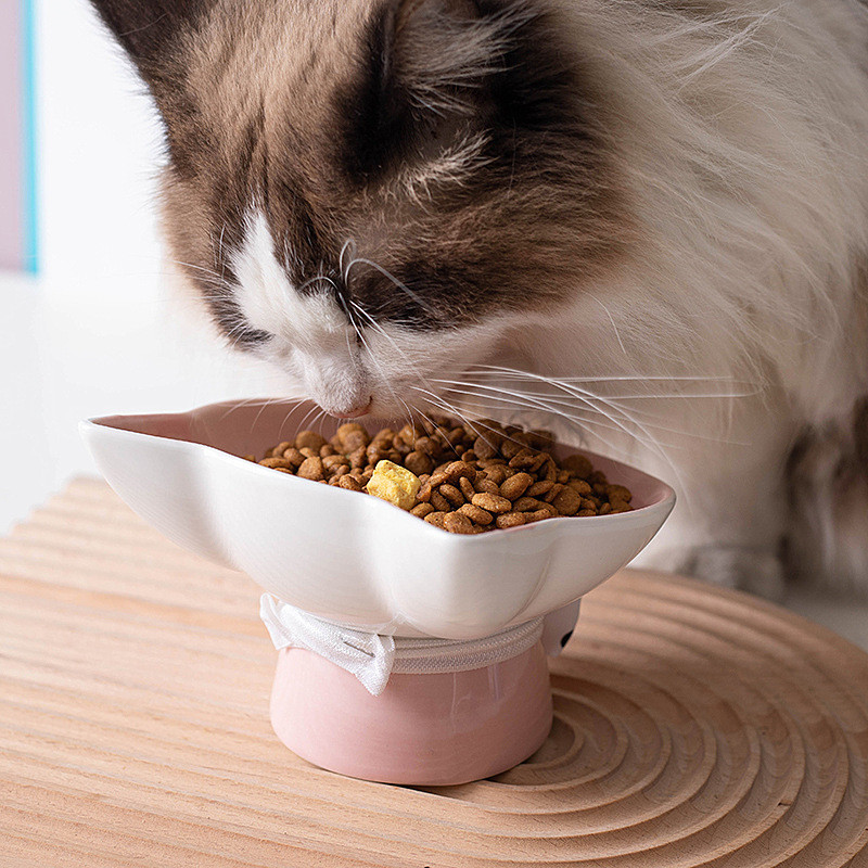 Keramička posuda za vodu za mačke s postoljem Mali psi koji piju Posuda za jelo Kućni ljubimac Slatke zdjelice za hranjenje s mašnom ukrasom