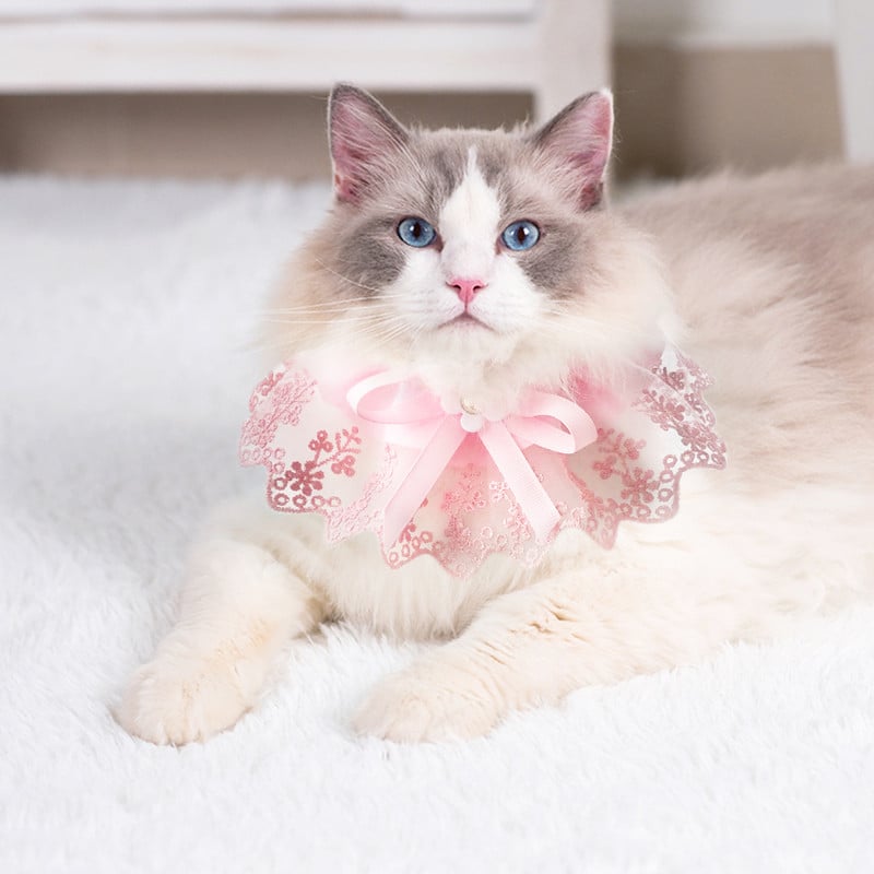 Mačja slina ručnik Slatki dekor Ogrlice Slatka čipkana ogrlica za kućne ljubimce Bowknot Lijepa pseća čipkasta ogrlica za male pse Dodaci za kućne ljubimce