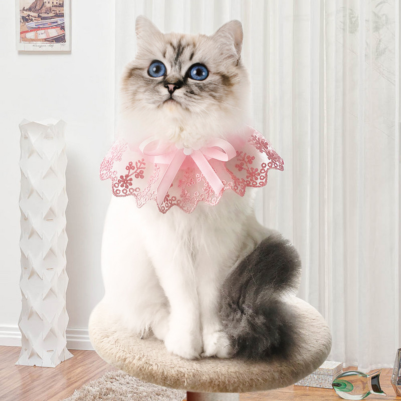Mačja slina ručnik Slatki dekor Ogrlice Slatka čipkana ogrlica za kućne ljubimce Bowknot Lijepa pseća čipkasta ogrlica za male pse Dodaci za kućne ljubimce