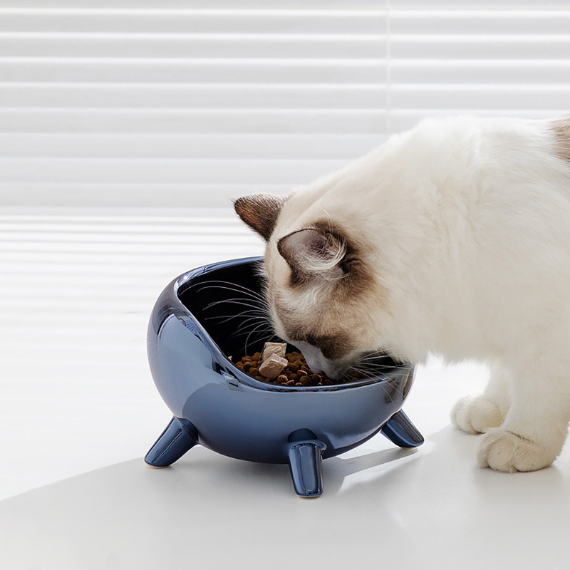 Keramička zdjelica za galvanizaciju mačaka Hrana za male pse Hranilice za vodu Svijetlo srebrne boje Kućni ljubimci Piju Jedu Dodaci za hranjenje