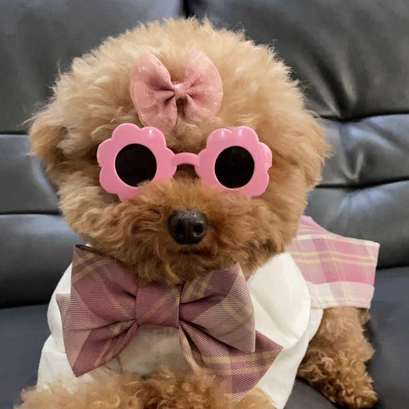 Lemmikkasside prillid Koer Lemmikloomatoode Prillid Kassile Koerale Mänguasi Päikeseprillid Fotod Rekvisiidid Lemmikkasside tarvikud