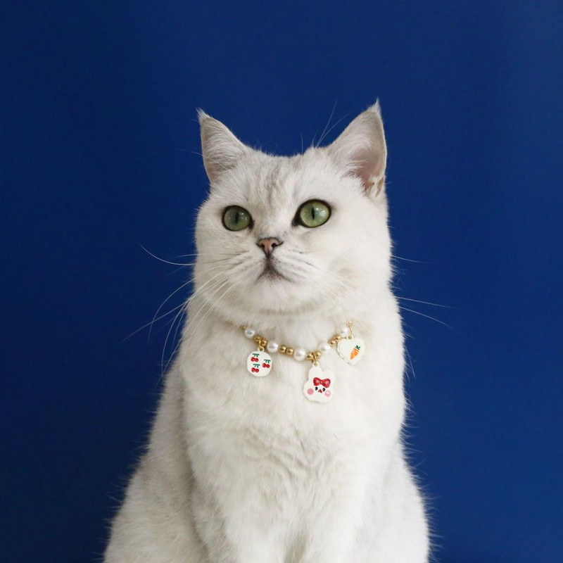 Lemmikloomade ehted kaelakee Stiilne vaik lemmiklooma kaelakee Armas võltspärl lemmiklooma kassi kaelakee foto rekvisiit lemmiklooma toode