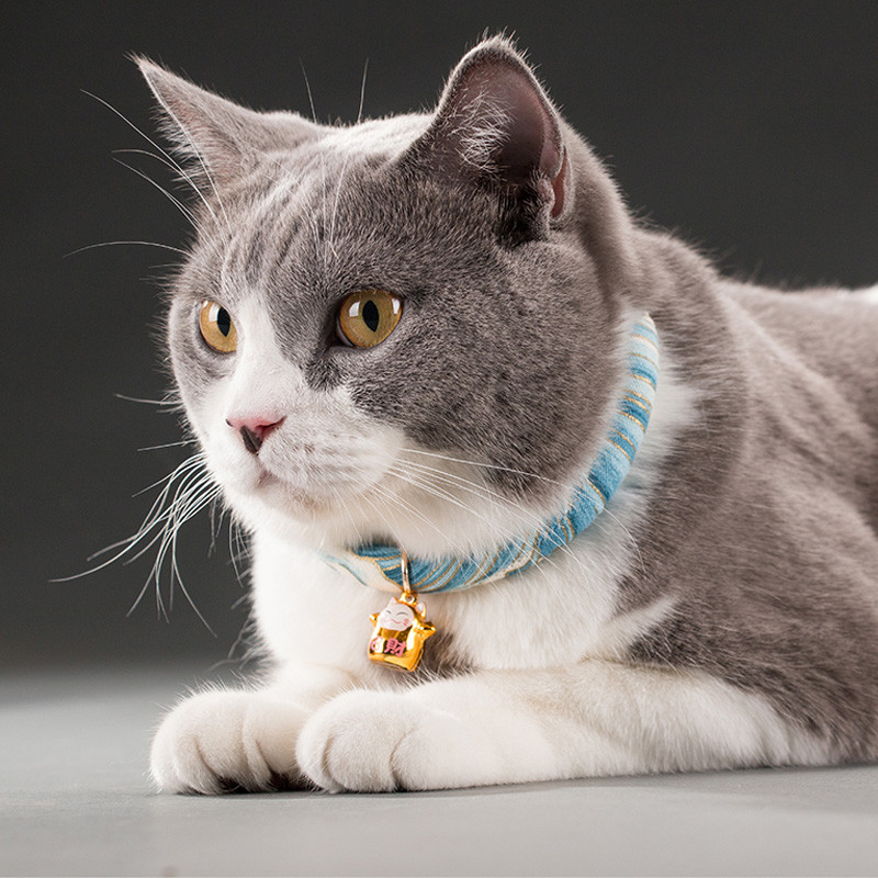 Mājdzīvnieku regulējama sprādze suņu kaķu kaklasiksnas piederumi maziem vidēji lieliem suņu kucēniem mājdzīvnieku piederumiem