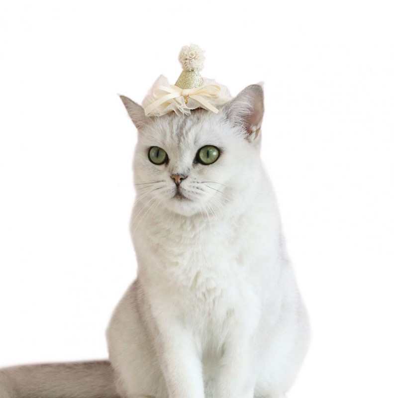 Šešir za mačke za kućne ljubimce Ultra-lagana rođendanska kapa za kućne ljubimce, šešir sa šljokicama, šešir za kućne ljubimce, ukras za glavu za kućne ljubimce