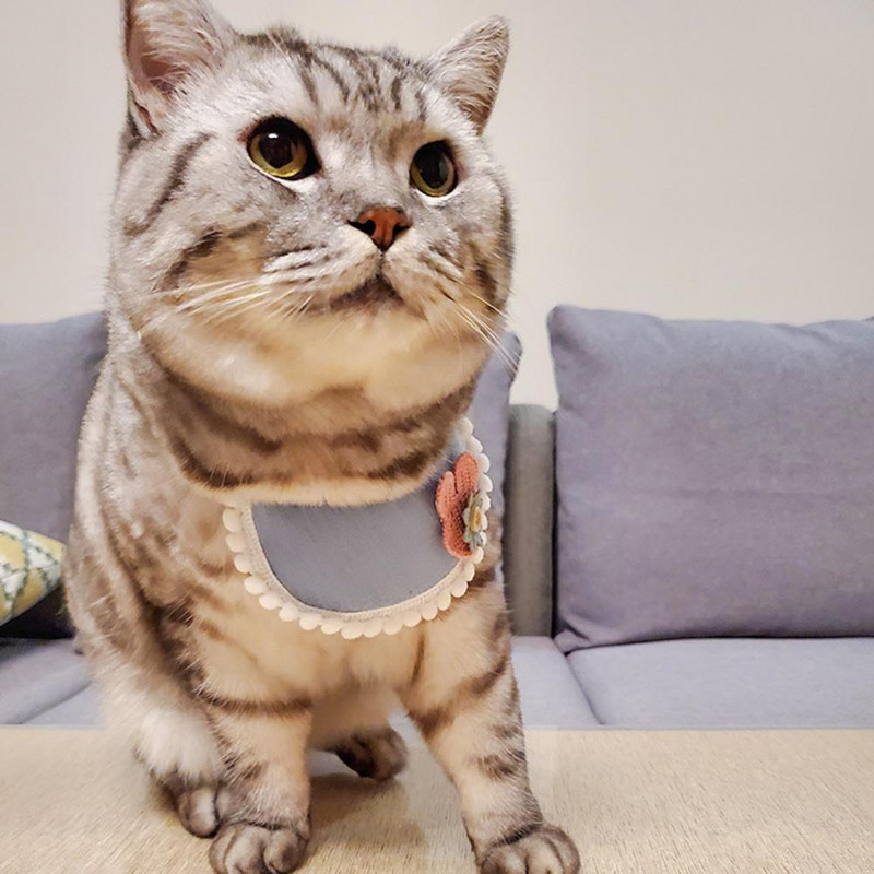 Šal za pse 2 veličine Pet Saliva Bib Pet Decor Decorative Durable Sequins Design Saliva Bib