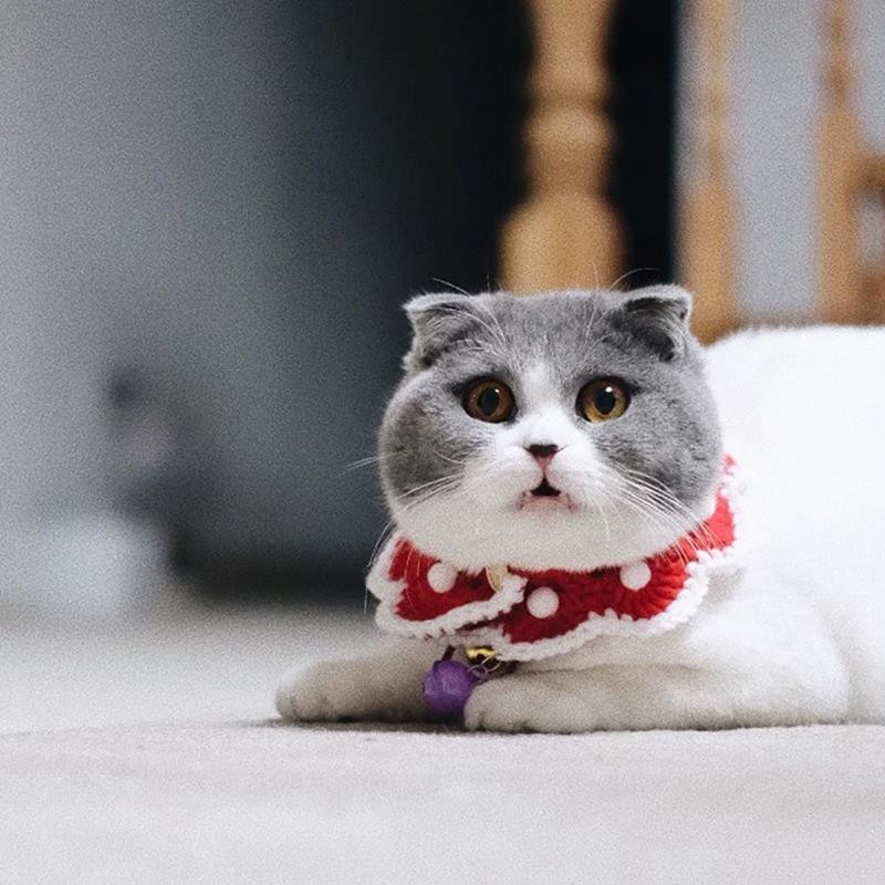 1 gab kaķa kaklasiksna, trikotāžas vilnas suņu priekšautiņš, ar rokām darināts kaķēns, bandana, kaķa priekšautiņš, siekalu dvielis kucēna šalle Ziemassvētku suņu aksesuāriem