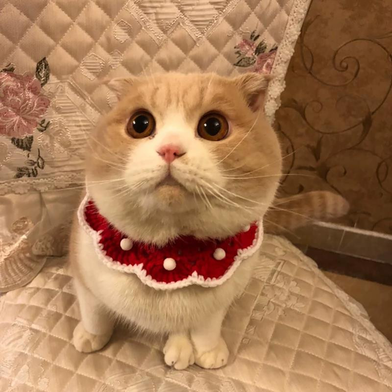 1 gab kaķa kaklasiksna, trikotāžas vilnas suņu priekšautiņš, ar rokām darināts kaķēns, bandana, kaķa priekšautiņš, siekalu dvielis kucēna šalle Ziemassvētku suņu aksesuāriem