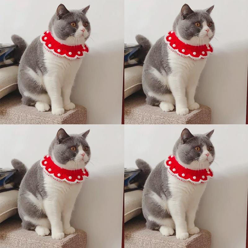 1 gab kaķa kaklasiksna, trikotāžas vilnas suņu priekšautiņš, ar rokām darināts kaķēns, bandana, kaķa priekšautiņš, siekalu dvielis kucēna šalle Ziemassvētku suņu aksesuāriem