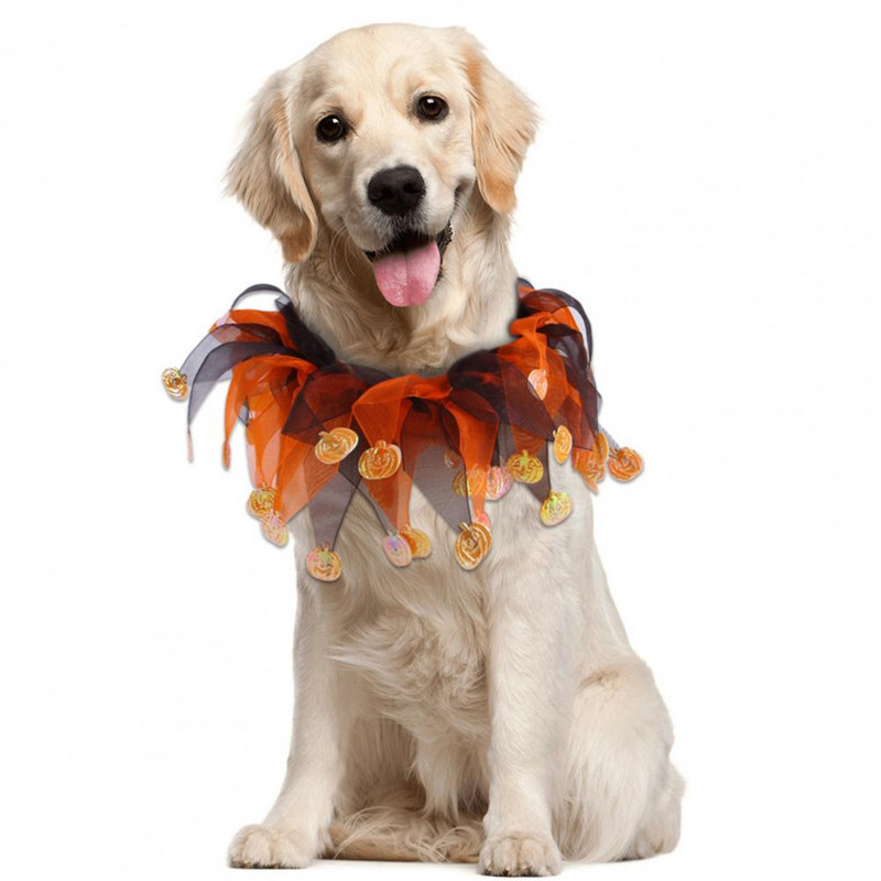 1 set Cosplay Wings Decor Prilagodljiv za kožu Jednostavan za nošenje Poboljšava atmosferu Poliester Mačka Halloween Kostim Ljubimac Šišmiš Wi