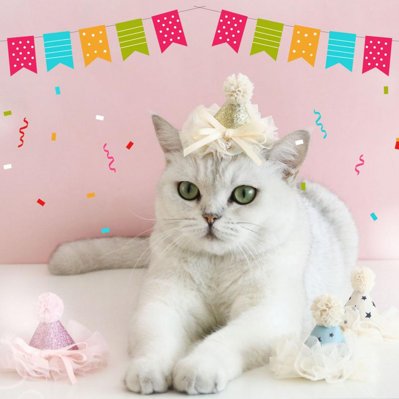 Mājdzīvnieka flitera cepure burvīga mežģīņu apdare, poliestera dzimšanas dienas ballīte Krāsaina mājdzīvnieka kaķa cosplay cepure mājdzīvnieku izstrādājums