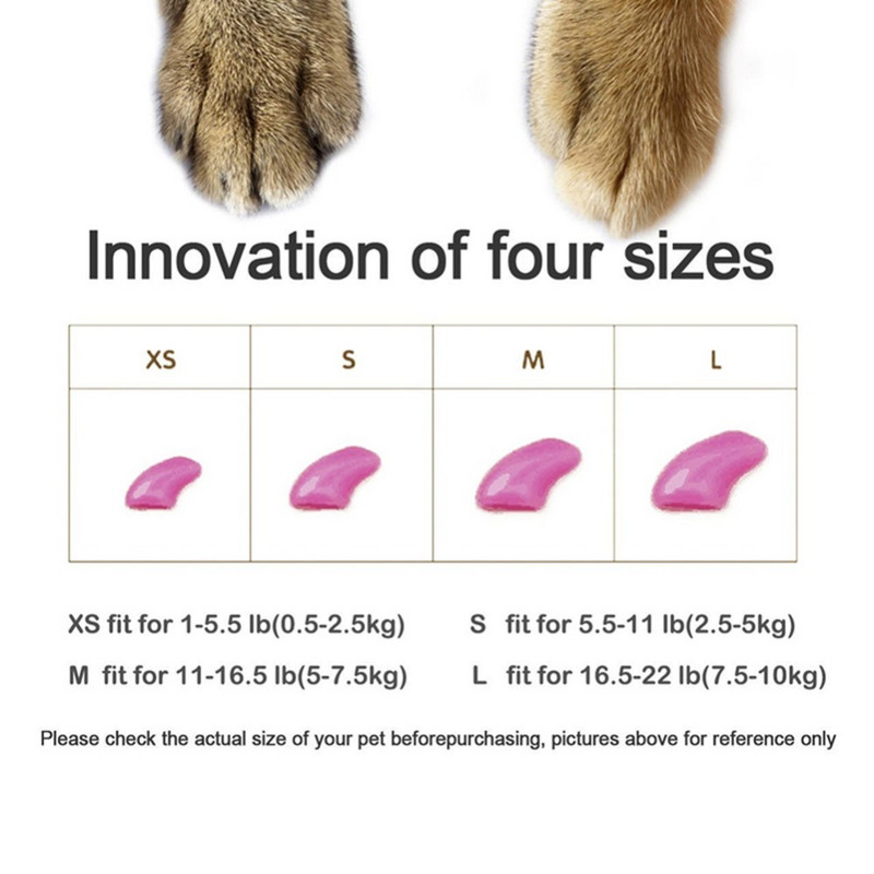 20 tk Värvilised kassiküünekatted Silikoonist kassitarvikud Lemmikloomade küünehooldus Käpa küünekaitse kate Pehmed tarvikud Cat Kittyle