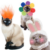 3Pcs Slatki kućni ljubimci Pas Mačke Kape Šešir Kostimi lava zeca za pse Male čivave Francuski buldog Puppy Festival Potrepštine za kućne ljubimce