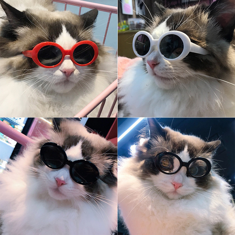 Kasside prillid Lahedad lemmikloomad Väikese koera prillid Lemmikloomatoode väikesele koerale Päikeseprillid pildistamiseks Lemmikloomatarvikud