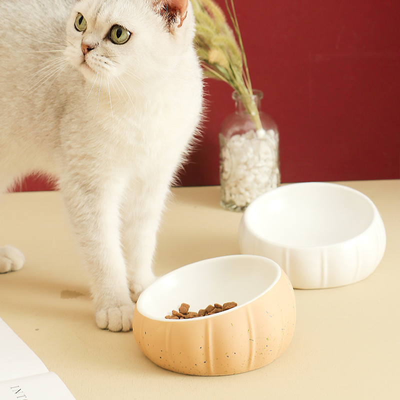 Kaķu keramikas bļoda Neslīdoša suņu barība Ūdens barotavas Mājdzīvnieku jaukās ķirbja formas barošanas piederumi