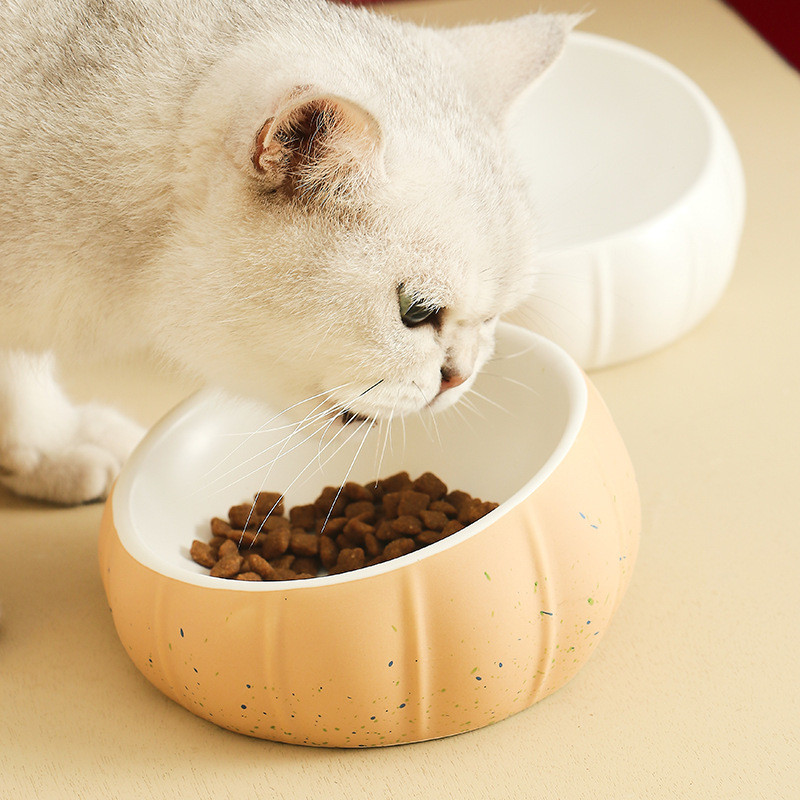 Kaķu keramikas bļoda Neslīdoša suņu barība Ūdens barotavas Mājdzīvnieku jaukās ķirbja formas barošanas piederumi