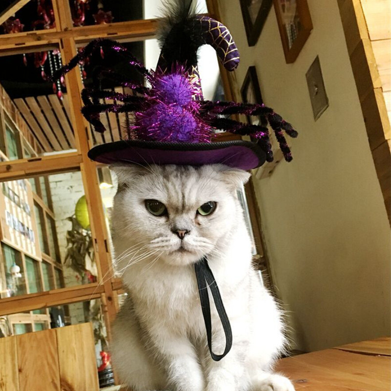 2018. Novi dolazak Šešir za mačku za kućne ljubimce Kape za kućne ljubimce Kape za kućne ljubimce Bundeva Pauk Vještičji šešir za životinje Kostim za kućne ljubimce Dekoracija za Noć vještica Odjeća za mačke Dekoracija kapa