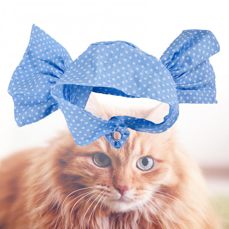 Armas mood puuvillane kassipoeg, müts Lemmikloomade müts, kostüüm