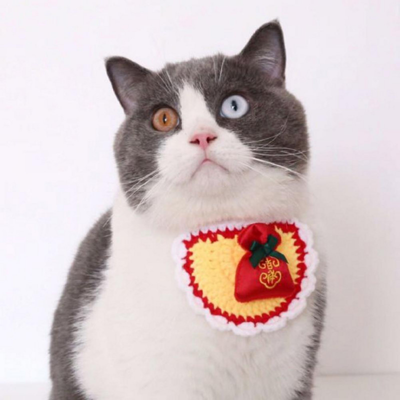 Koerte Hiina uusaasta kostüüm 2023 Lemmik rinnatükiga jõulude õnnekott Kootud villane lõng Lemmikloomade kasside bandaan kevadfestivaliks