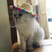 Kućni ljubimac, mačka, šešir od sunca, ručno tkani havajski kućni ljubimci, pas, štene, kape, slatki slamnati tkani šešir, dodaci za kućne ljubimce