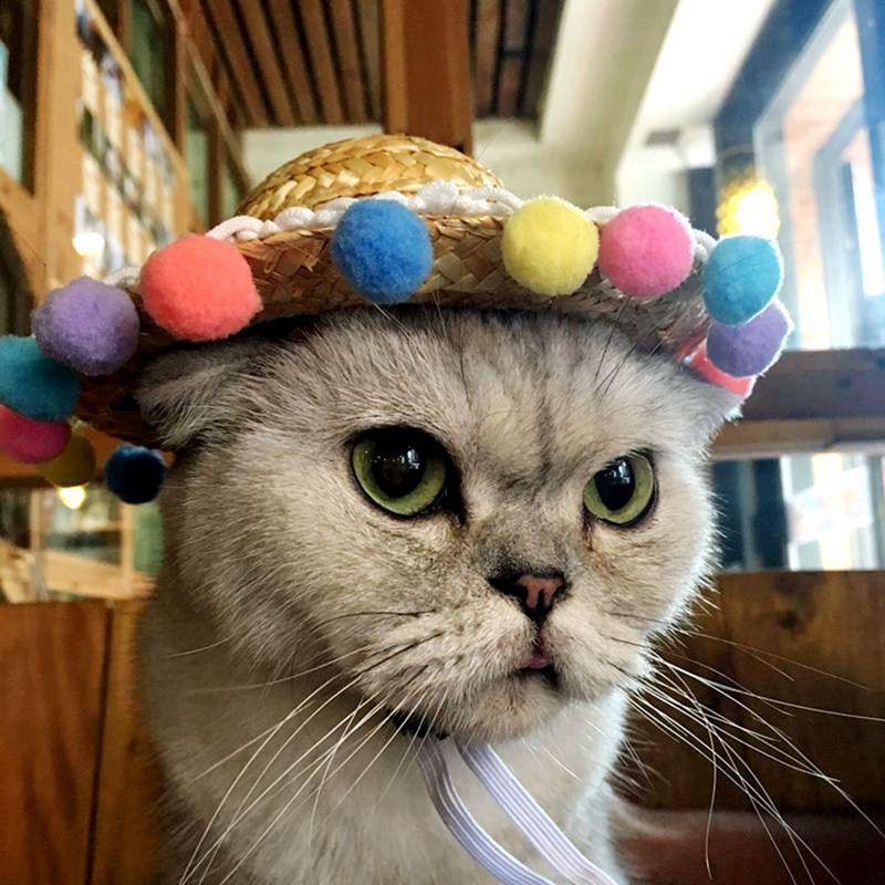 Kućni ljubimac, mačka, šešir od sunca, ručno tkani havajski kućni ljubimci, pas, štene, kape, slatki slamnati tkani šešir, dodaci za kućne ljubimce