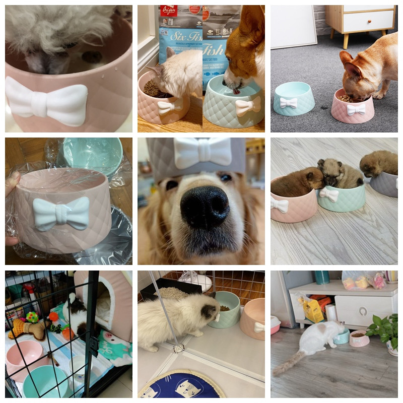 Velike mašne Pseće zdjele za male srednje velike životinje Okoliš Kućni ljubimac Mačka Voda Pijenje hrane Hranilica Štene Plastični proizvodi za buldoga