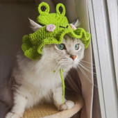 2022. aasta talvine kassimüts Elastne armas rafineeritud lemmikloomamüts kutsikad kassipojad kootud mütsipidu fotosessioonide rekvisiidid kaunistus kassitarvikud