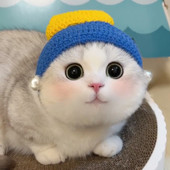 Psić Mačić Slatka smiješna haljina Dodaci Djevojka s bisernom naušnicom Cospaly mačka Čudno pleteno pokrivalo za glavu Šešir za kućne ljubimce