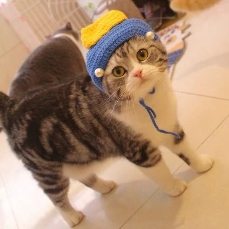 Psić Mačić Slatka smiješna haljina Dodaci Djevojka s bisernom naušnicom Cospaly mačka Čudno pleteno pokrivalo za glavu Šešir za kućne ljubimce