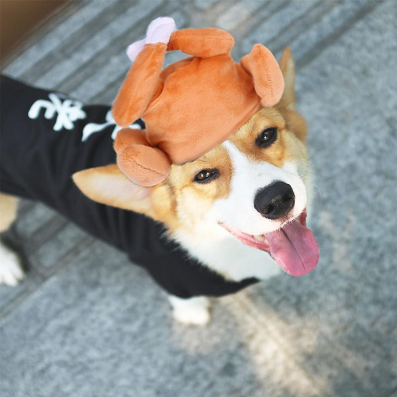 Modna pokrivala za kućne ljubimce Ukrasna smiješna plišana kapa za kućne ljubimce za Dan zahvalnosti jednostavna za korištenje