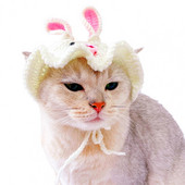 Dress Up 2 Colors Party Kitty Headwear Cat Hat Decoration Proizvod za kućne ljubimce