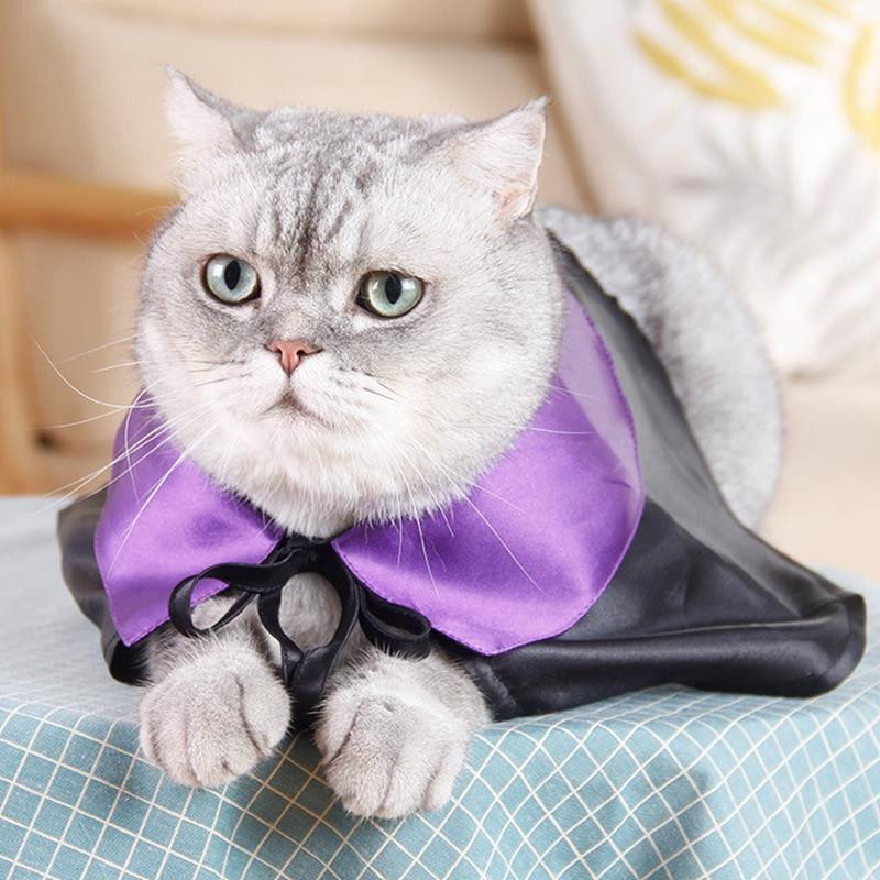 Halloweeni Lemmikkeem Armas kassipoeg Mantliga Koerte Pühade Kostüüm Kutsikas Cosplay Rõivad Festival Kassi Mantel Koerarõivad Lemmikloomatarvikud