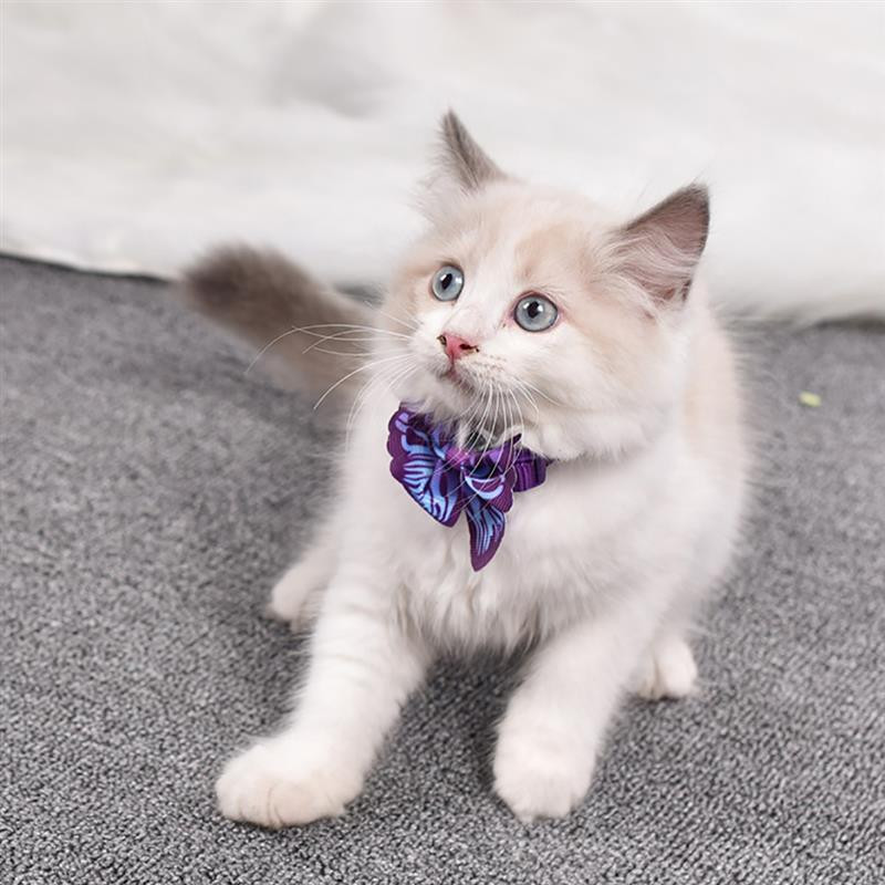 Dorakitten mājdzīvnieku kaklasiksna tauriņš zvana dekors modes kaķēnu kaklasiksna suņu tauriņš kucēns kaklasaite Apģērbu aksesuāri mājdzīvnieku piederumi
