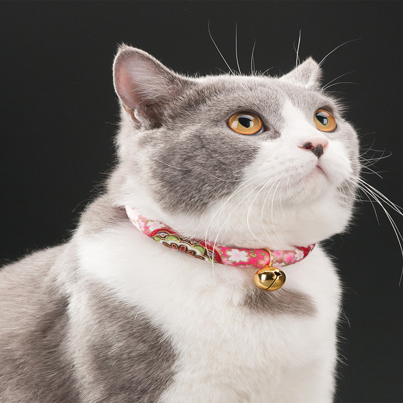 Lemmiklooma reguleeritava pandlaga koera kassi kaelarihma tarvikud väikese ja keskmise suure koera kutsika tarvikute jaoks