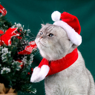 Kisállat karácsonyi sapka sapka piros sál karácsonyi állítható meleg kényelmes macska kisállat karácsonyi dekoratív macska kutya sapka