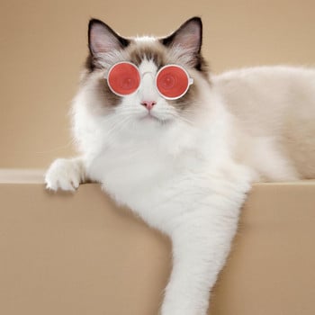 Устойчиви на износване Красиви домашни любимци Прекрасни винтидж кръгли слънчеви очила за котки Удобни очила за домашни любимци Удобни за открито