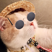 Lemmiklooma koera kassi aksessuaarid päikeseprillid kaelakee komplekt koerale kassi silmade kandmiseks koera päikeseprillid fotod rekvisiidid tarvikud lemmikloomatarbed D5067