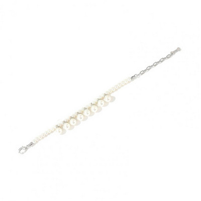 Lemmiklooma kaelakee ripats, läikiv pind erksavärviline kleit, keskmine koerakassi pleekimiskindel kaelakee peoks