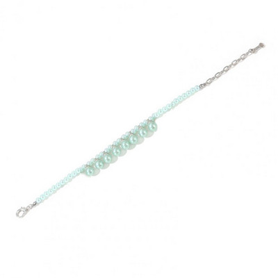 Lemmiklooma kaelakee ripats, läikiv pind erksavärviline kleit, keskmine koerakassi pleekimiskindel kaelakee peoks