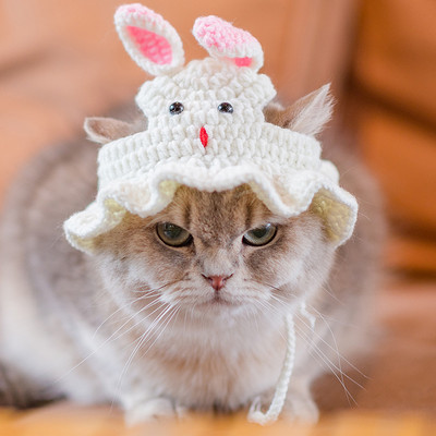 Καπέλο χειμωνιάτικης γάτας Χαριτωμένα εκλεπτυσμένα πλεκτά γατάκια Καπέλα σκύλου Αξεσουάρ για κατοικίδια για μικρές γάτες Lovely Pet Knitted Wool head cover 2022 New